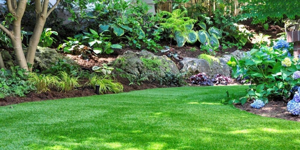 Landscape Contractors in San diego